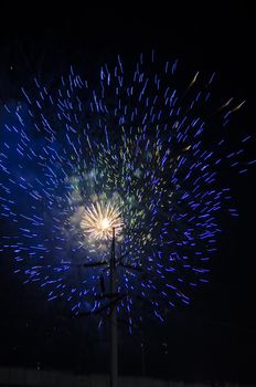 celebrate festival fire work on black sky background