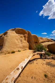 Joshua Tree National Park Jumbo Rocks in Yucca valley Mohave Desert California USA