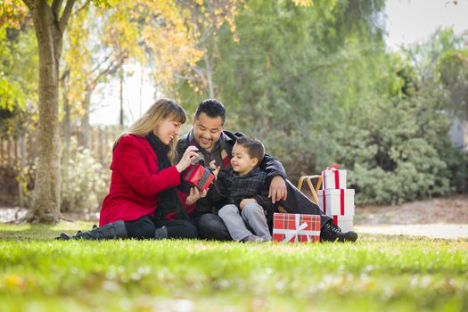 Young Mixed Race Family Enjoying Christmas Gifts in the Park Together.