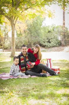 Young Mixed Race Family Enjoying Christmas Gifts in the Park Together.