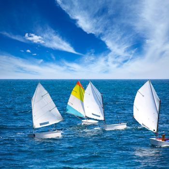 Little sailboats Optimist learning to sail in Mediterranean at Denia Alicante