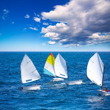 Little sailboats Optimist learning to sail in Mediterranean at Denia Alicante