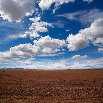 Cereal rice fields in fallow after harvest at Mediterranean Spain