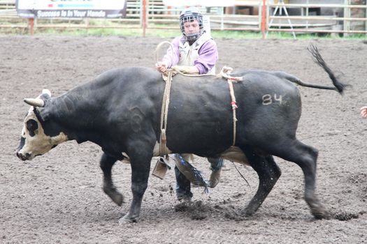 MERRITT; B.C. CANADA - MAY 15: Bull Riding event at Nicola Valley Rodeo May 15; 2011 in Merritt British Columbia; Canada