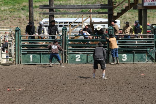 MERRITT; B.C. CANADA - MAY 15: Bull Riding event at Nicola Valley Rodeo May 15; 2011 in Merritt British Columbia; Canada