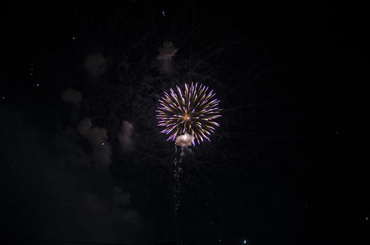 celebrate festival fire work on black sky background