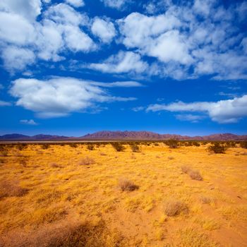 Mohave desert in California Yucca Valley USA