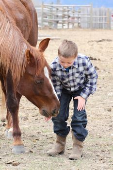 Young boy in blue feeding his horse treats