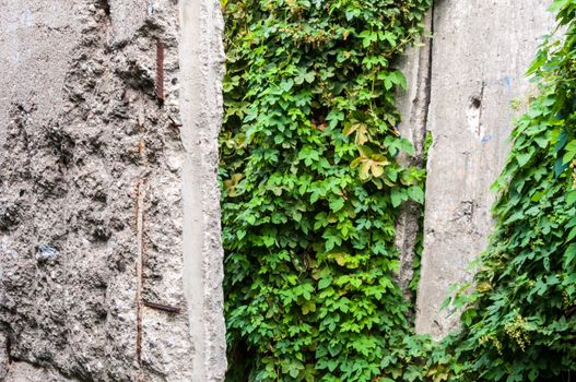 part of the Berlin Wall Memorial in the Bernauer Street