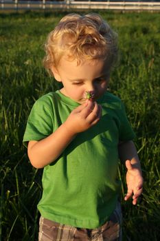 Beautiful blond boy playing in the field with flowers