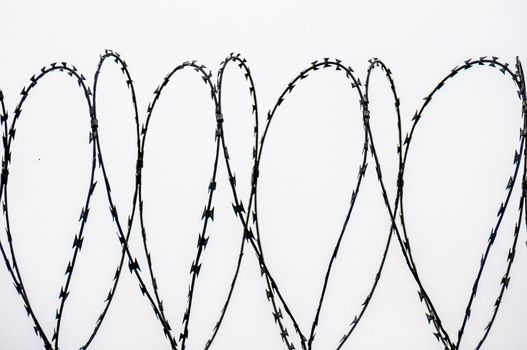 detail of a long barbed wire fence