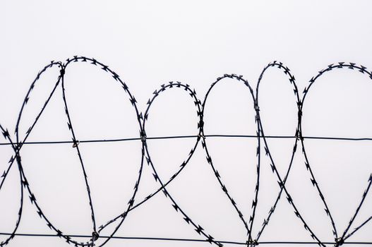 detail of a long barbed wire fence