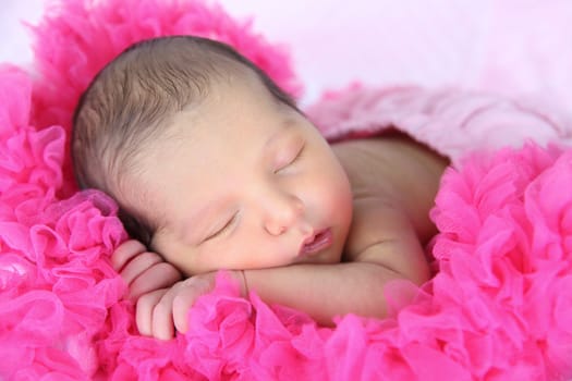 Newborn brunette baby girl sleeping in pink frills