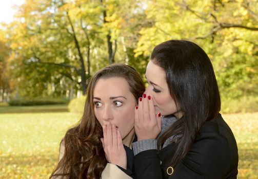 girlfriends whispering in autumn park