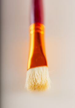 Brush for painting in closeup over white