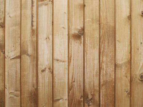 Photo of the Abstract Natural Wooden Background