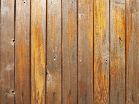Photo of the Abstract Natural Wooden Background