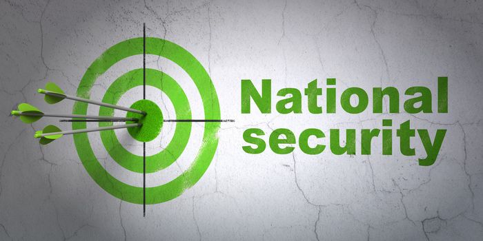 Success privacy concept: arrows hitting the center of target, Green National Security on wall background, 3d render