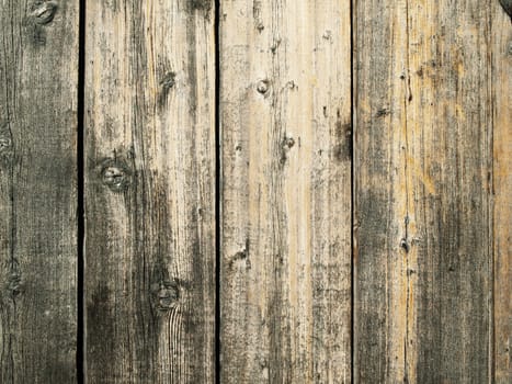 Photo of the Abstract Natural Wooden Background