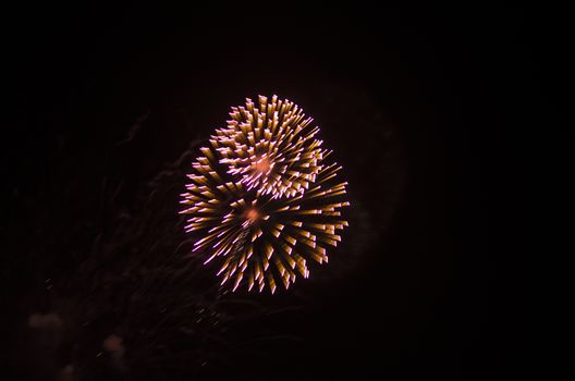 celebrate festival fire work on black sky background