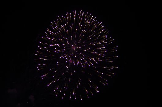 celebrate festival fire work on black sky background