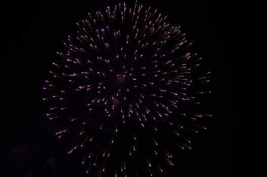 celebrate festival fire work on black sky background