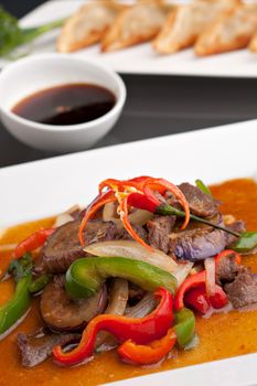A beautifully presented dish of Thai food with mixed vegetables beef and pan fried dumplings appetizer.