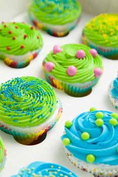 Colorful decorated cupcakes in a white box