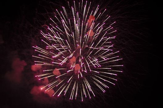 celebrate festival fire work on black sky background