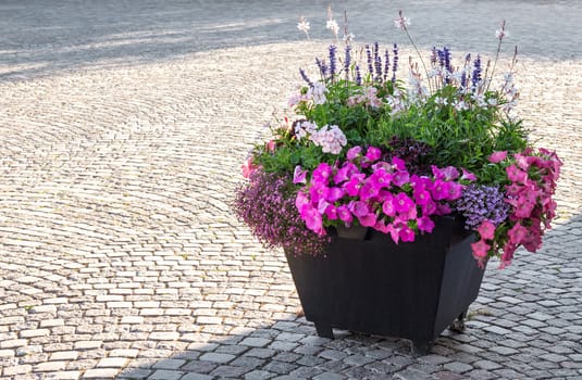 Flowers decorating a city square in sunlight.