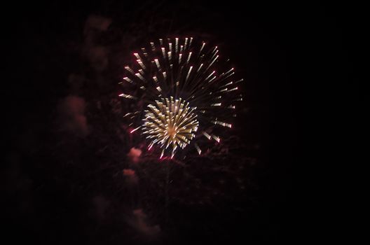 celebrate festival fire work on black sky background