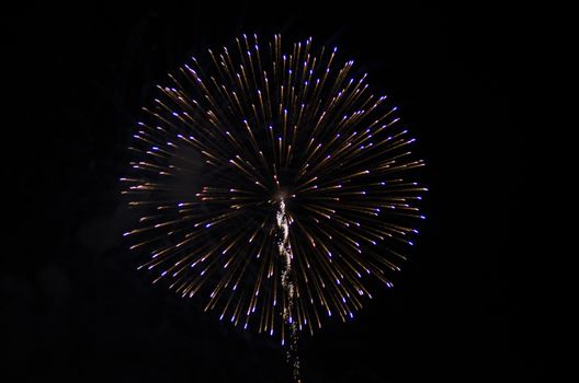 celebrate festival fire work on black sky background