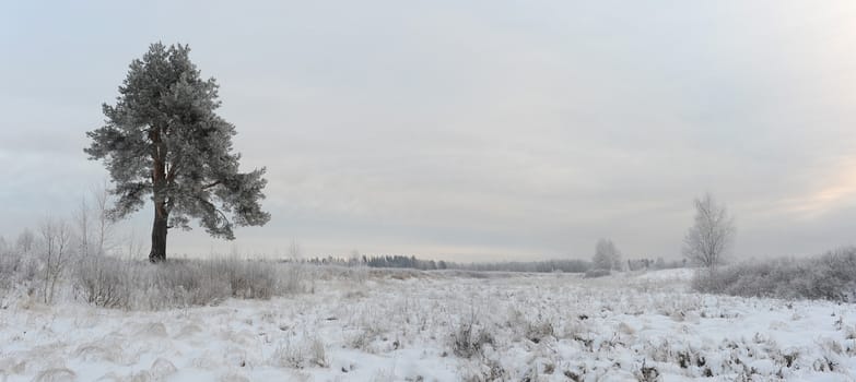 frosty day in early winter