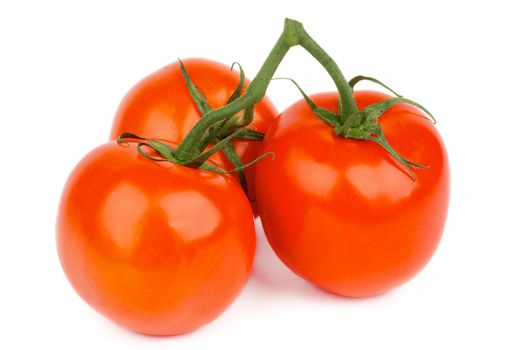Bunch of Three Ripe Tomatoes with Stems and Twigs isolated on white background
