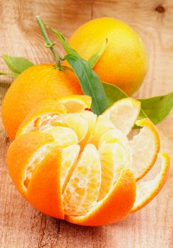 Fresh Ripe Tangerine with Segments and Citrus Peel and Two Full Body with Leafs closeup on Wooden background