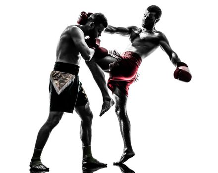 two caucasian men exercising thai boxing in silhouette studio on white background