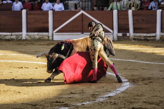 Ubeda, Jaen provincia, SPAIN , 29 september 2010:  Spanish bullfighter Morante de la Puebla bullfighting with the crutch in his first Bull of the afternoon in Ubeda bullring, Jaen, Spain, 29 September 2010