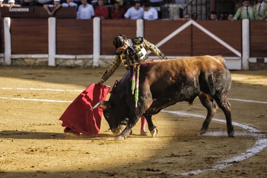Ubeda, Jaen provincia, SPAIN , 29 september 2010:  Spanish bullfighter Morante de la Puebla  bullfighting with the crutch in his first Bull of the afternoon in Ubeda bullring, Jaen, Spain, 29 September 2010