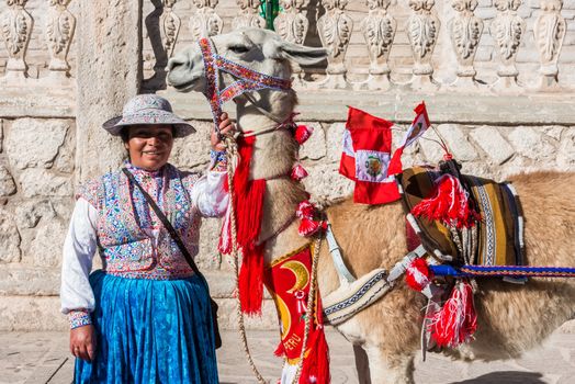 Chivay, Peru - July 29, 2013: Llama with peruvian flags and woman in the peruvian Andes at Arequipa Peru on july 29th, 2013