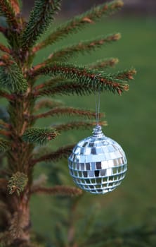  mirror ball hanging on a Christmas tree branch outside