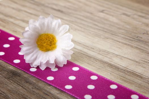 daisy with pink ribbon on wood background