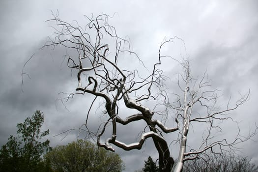 Tree from iron on sky background