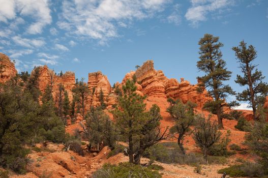 red Bryce Canyon west USA utah 2013