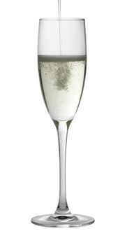 Studio photography of a champagne glass gets filled, isolated on white with clipping path
