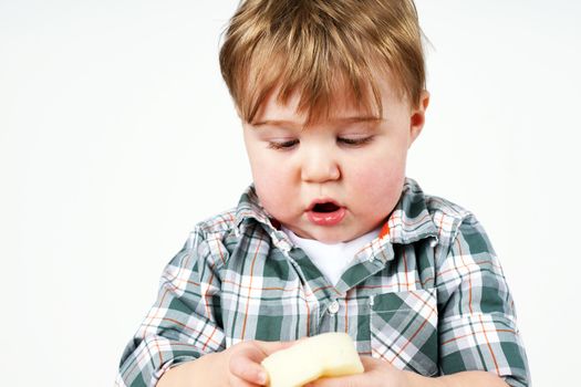 Cute little blond toddler boy discovering a sponge, growth or child development concept