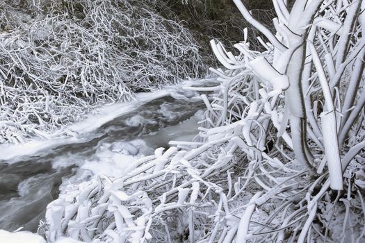Frozen Ice and Snow Along Flowing Water Stream or River with Icicles on Tree Branches in WInter