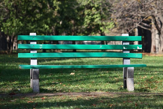 Empty benche ina green summer park