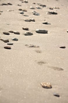 Footprints at the beach near the seashore