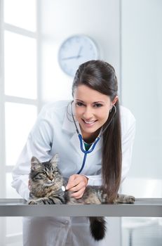 Beautiful Caucasian woman Veterinarian examining a kitten