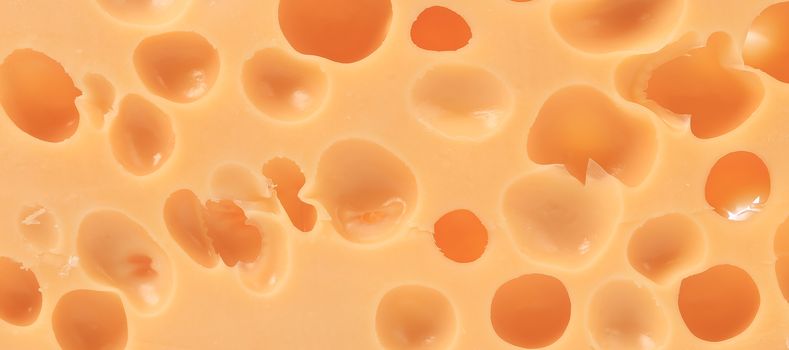Close up of dutch cheese. Whole background.